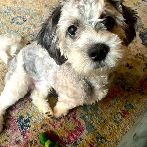 Meet your Posher, Iyana